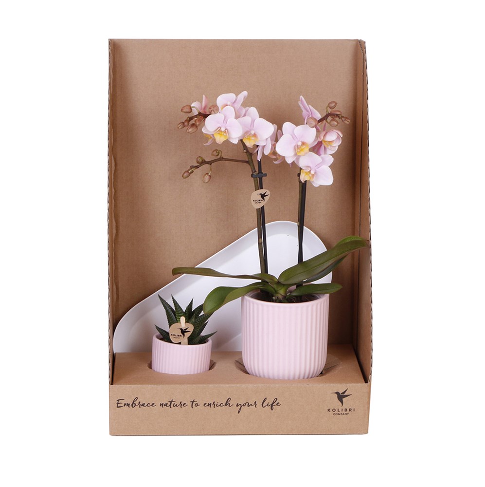 Botanical Giftset small - Pink Blossom