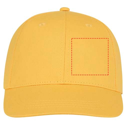 Ares 6 panel cap