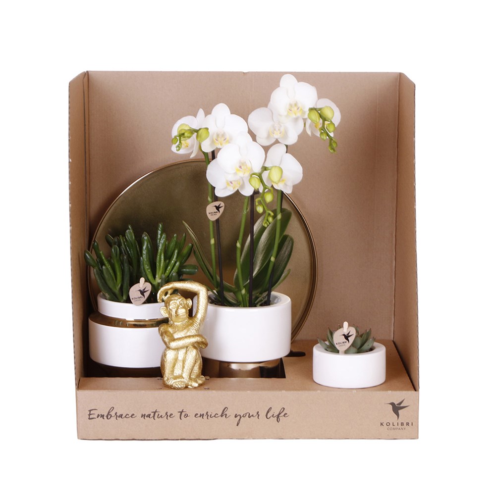 Botanical Giftset large - Luxury Gold