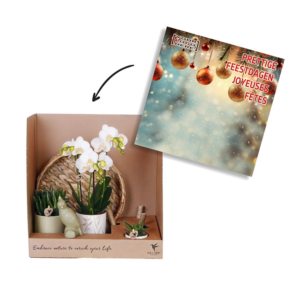 Botanical Giftset small - Pink Blossom